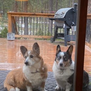 Meet your Posher, Brannon